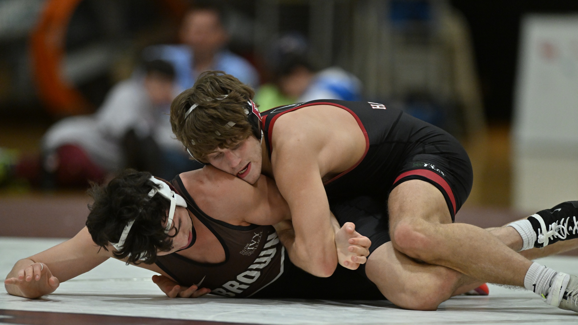 Champions on the Mat: Harvard Wrestling Dominates in an Unforgettable ...