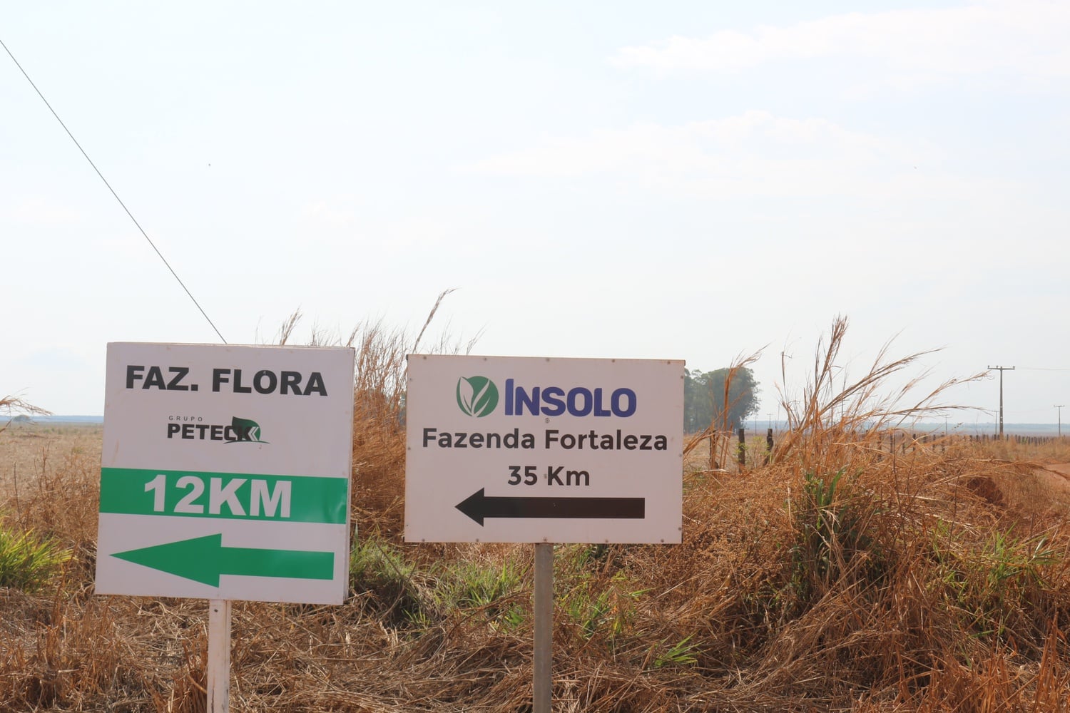 Harvard Management Company owned Fazenda Fortaleza through its subsidiary company, Insolo. As large-scale farms like Fazenda Fortaleza arrived in Piauí, locals like Alves Pessoa have lost significant parts of their land and access to critical resources. Some people have been moved off their land by these large farms.