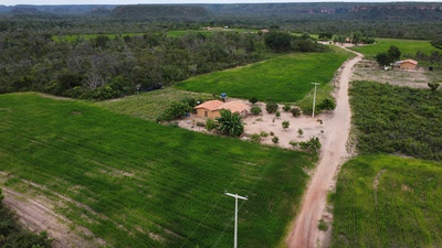 Cover image for barra da lagoa farm
