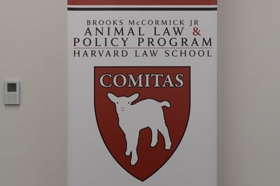 Cover image for HLS to Close Animal Law Clinic After 2026-27 School Year, Citing Low Interest Despite Full Enrollment