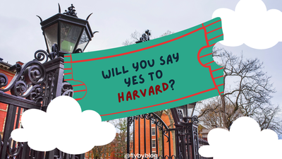 Cover image for Will You Say Yes To Harvard?