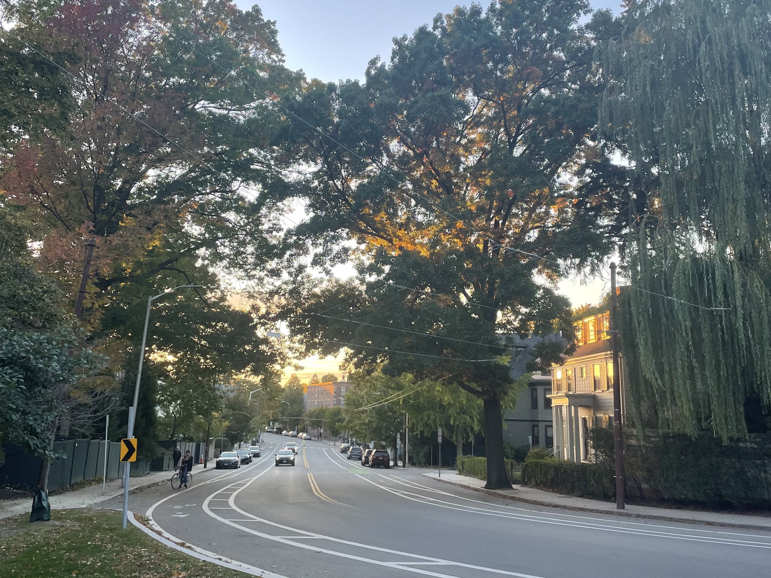 One year after publishing “Dear Freshman Year,” MG returns to write a letter to her sophomore year.
