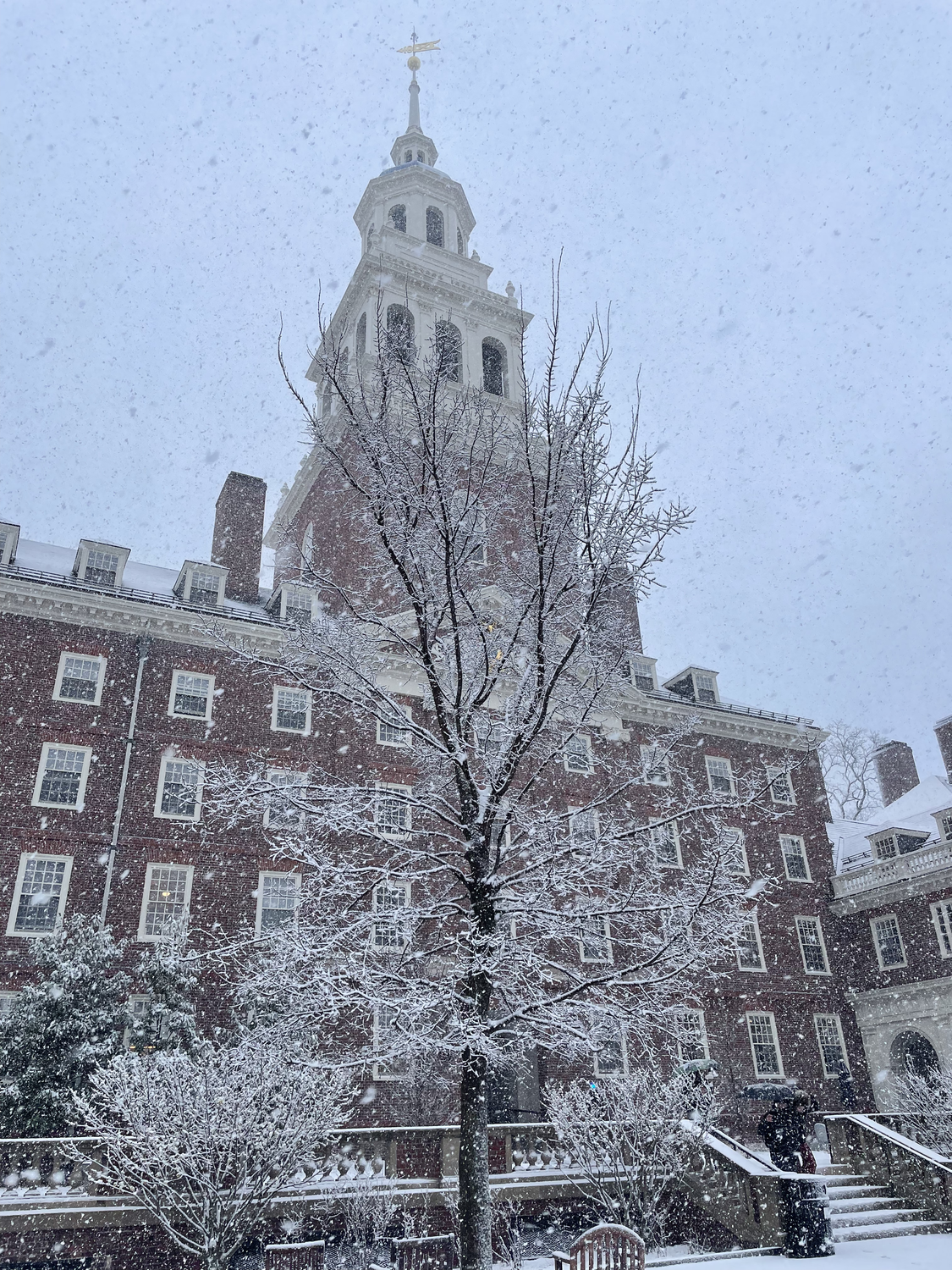 I daydreamed of a winter of snowmen on the sidewalk and cozy movie nights, and a spring that left me begging to stay.