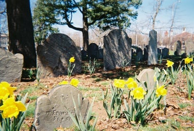 Cover image for Living Among the Dead in the Old Burying Ground