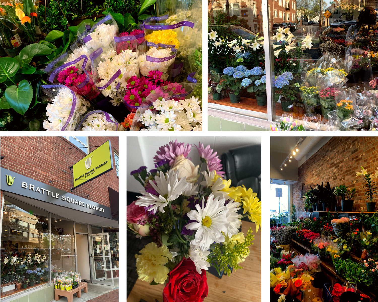 Brattle Square Florist!.