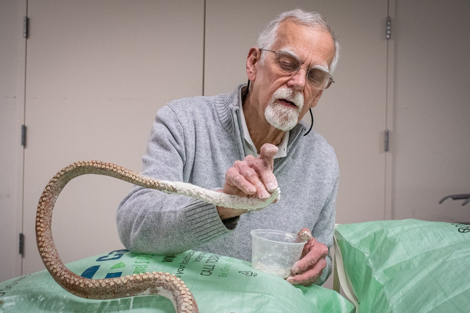 Preservation of the octopus’ historic and artistic value, rather than precise scientific accuracy, guided the team’s effort.