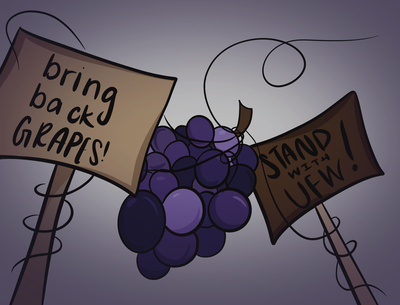 Cover image for Sour Grapes: Harvard Students Pound the Table Over Table Grape Boycott