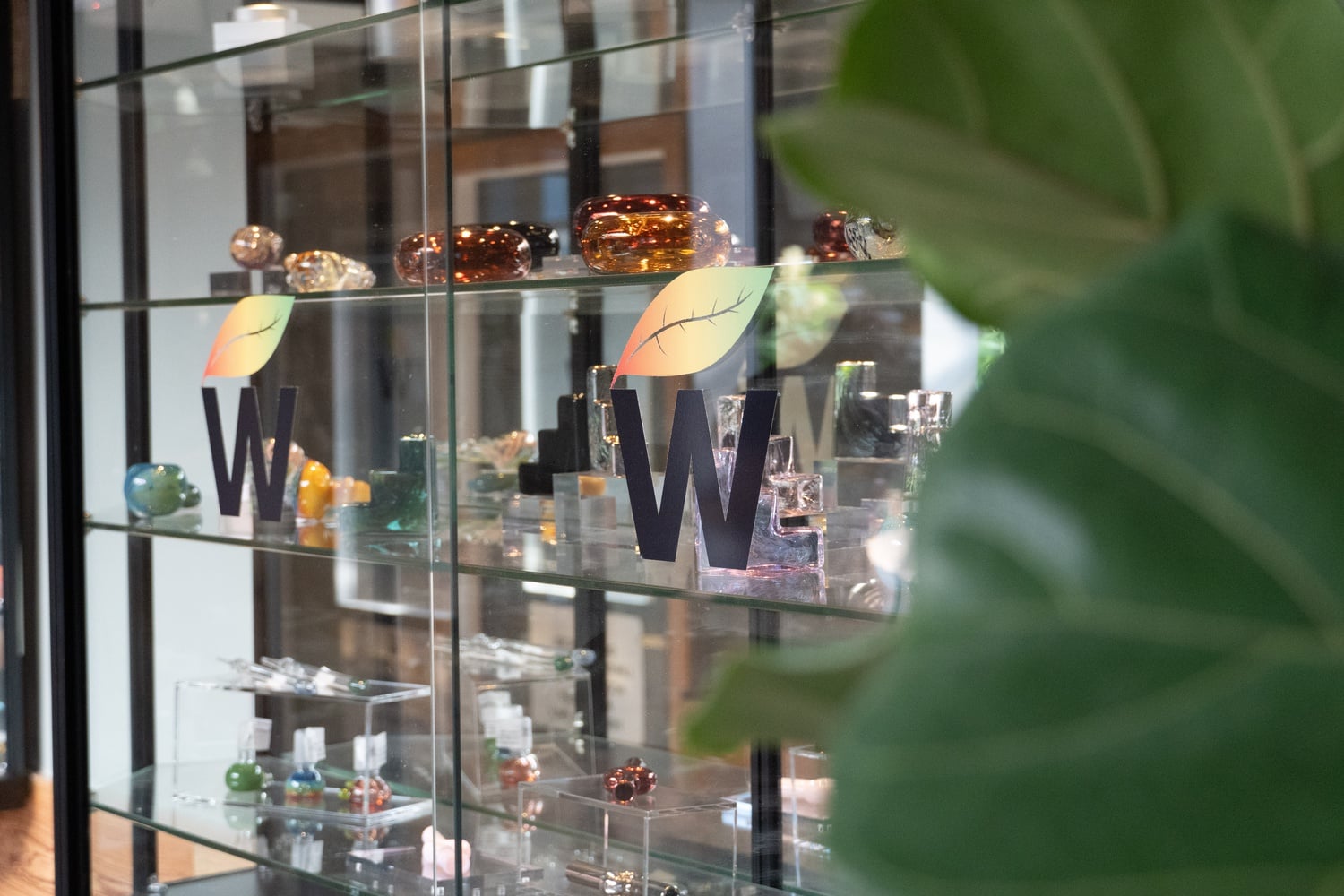 Western Front became the first cannabis dispensary to open in Harvard Square in July.