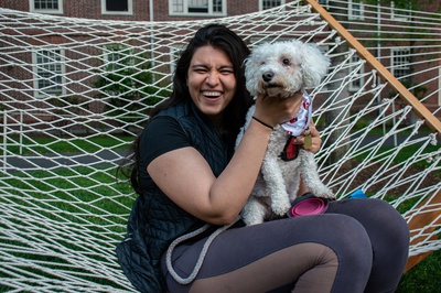 Cover image for Lowell Pets: Mooshoo