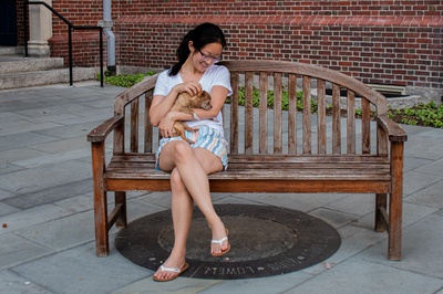 Cover image for Lowell Pets: Jerry