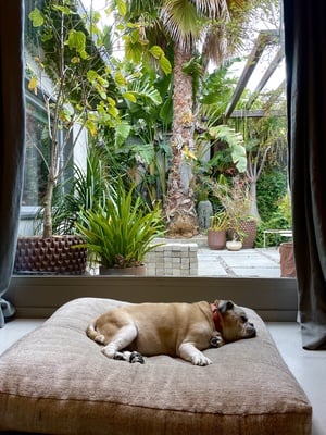 Cover image for Los Angeles, California