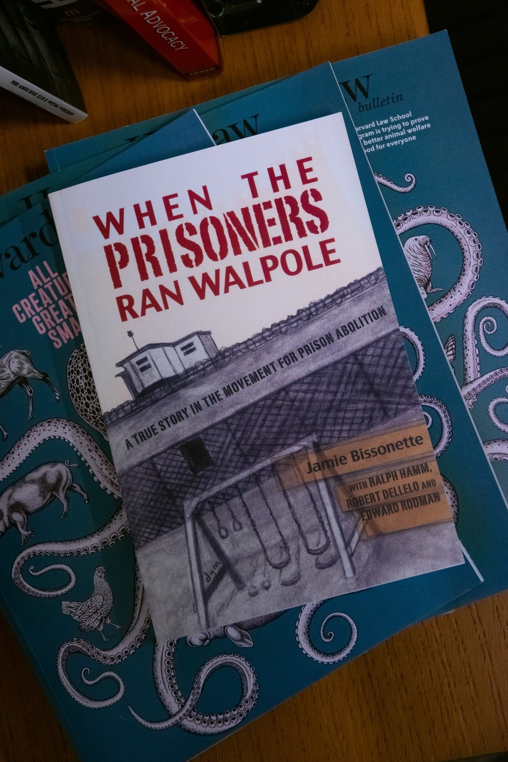 A copy of the 2008 book "When the Prisoners Ran Walpole" by Jamie Bissonette Lewey sits on a table in the PLAP office.