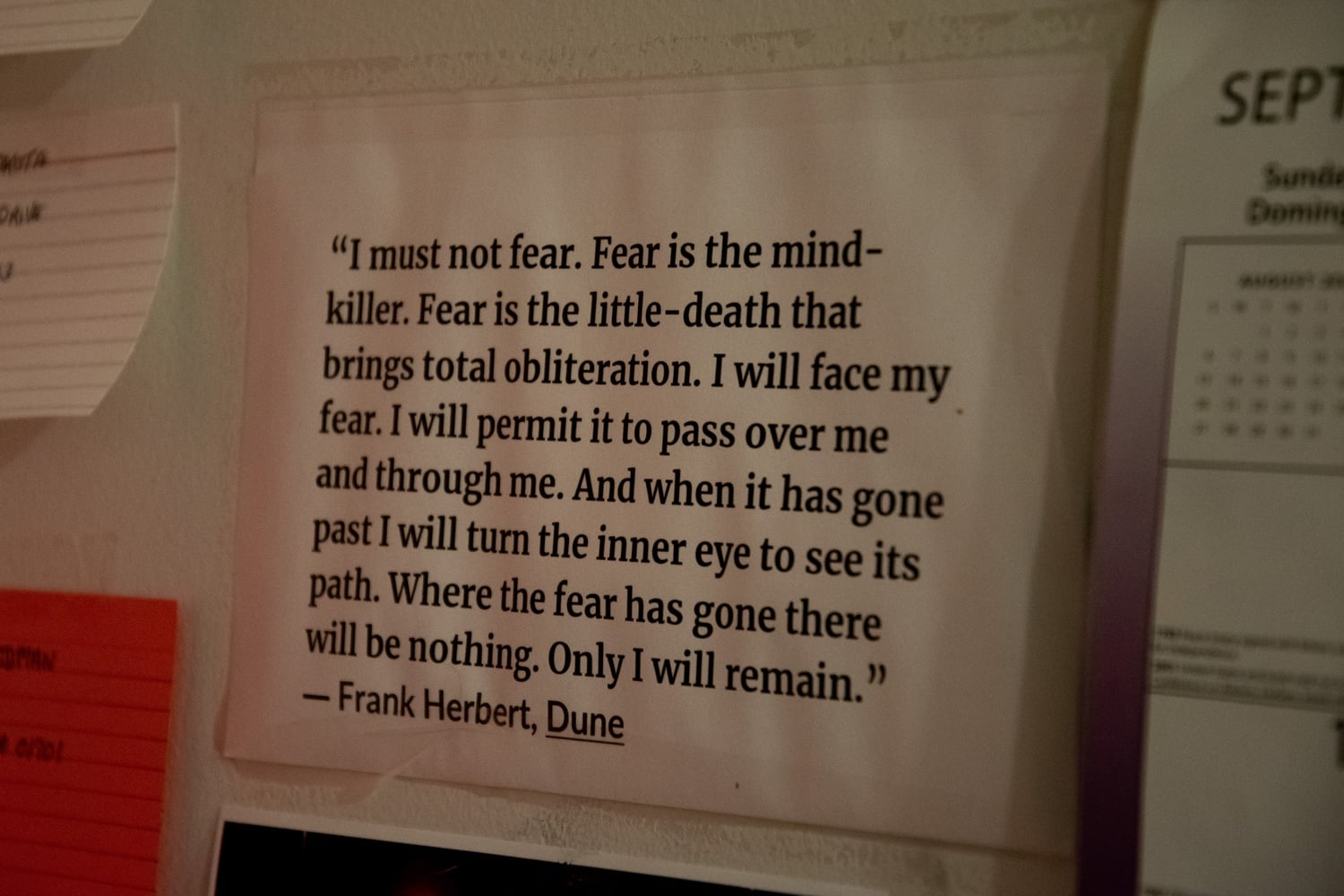 Dellelo has a print-out of the "Fear is the mind-killer" quote from "Dune" on his wall. He repeats the final sentence — "Only I will remain" — when we ask him about it.