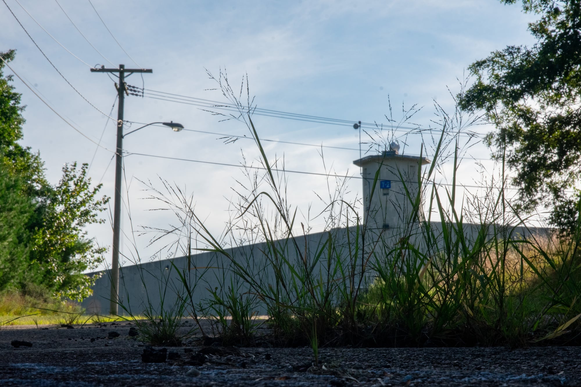 Weeds grow from cracks in the asphalt in front of Cedar Junction.
