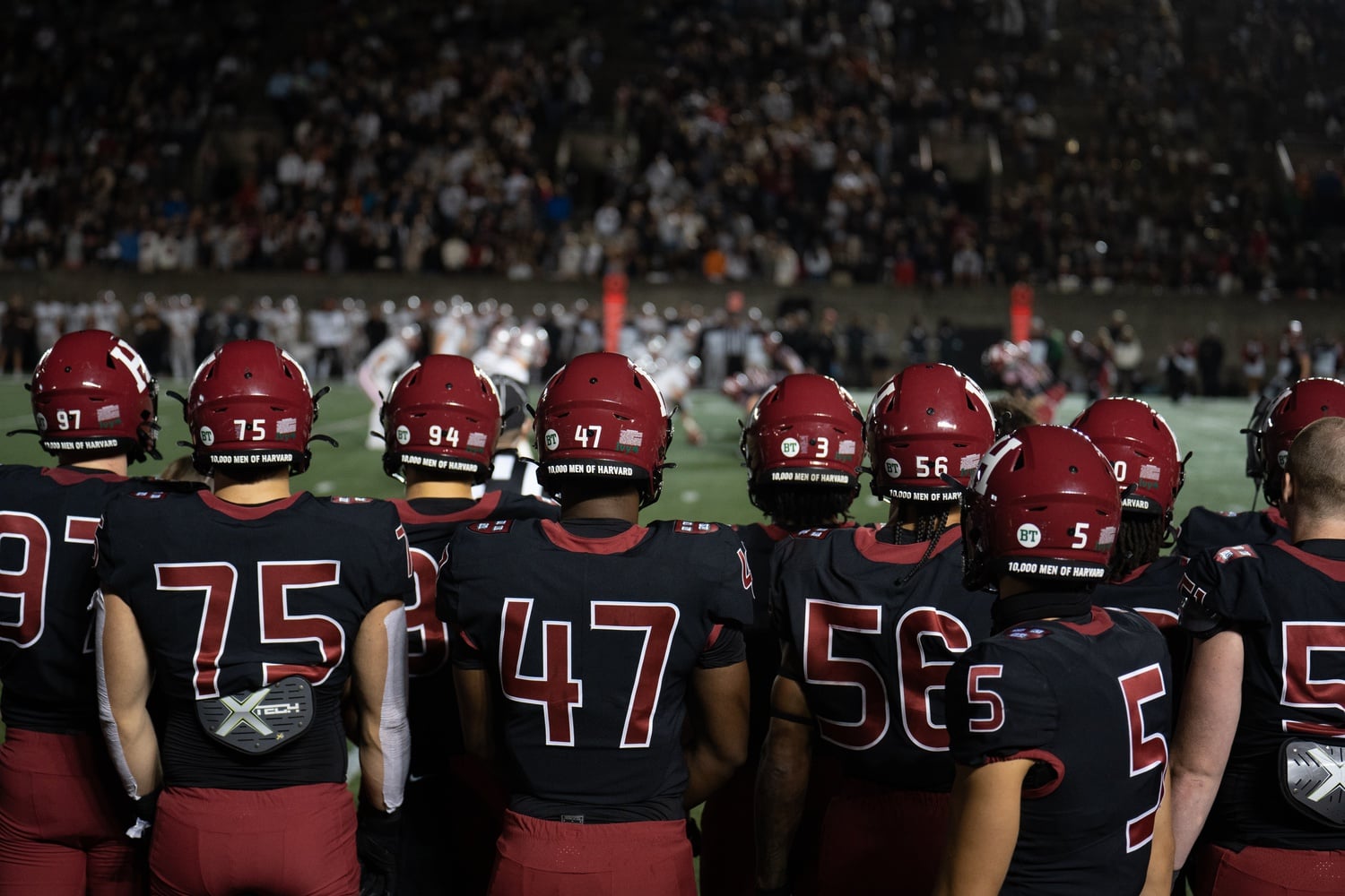 The Crimson watch from the sideline as the Brown Bears' offense sets up on September 22, 2023.