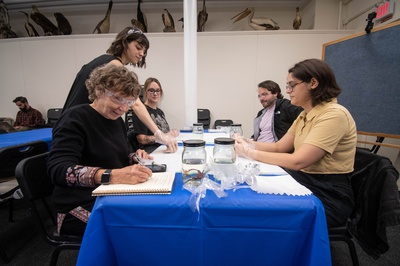Cover image for Rat Embalming Workshop Table
