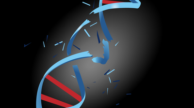 Cover image for Testing ‘God’s Law’: Advent of Recombinant DNA Research Struck Fear into Cambridge