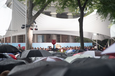 Cover image for Crowd of Umbrellas