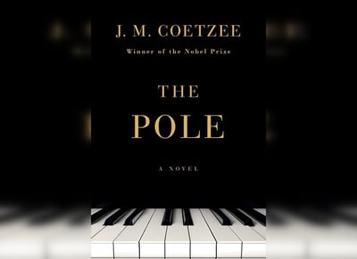 Cover image for The Pole Cover Image
