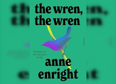 Cover image for The Wren The Wren Image