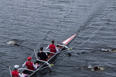Cover image for HOCR 2023 8