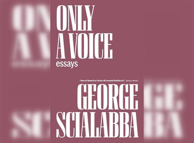 Cover image for Only a Voice Cover Image