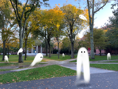 Cover image for ghosts in the yard