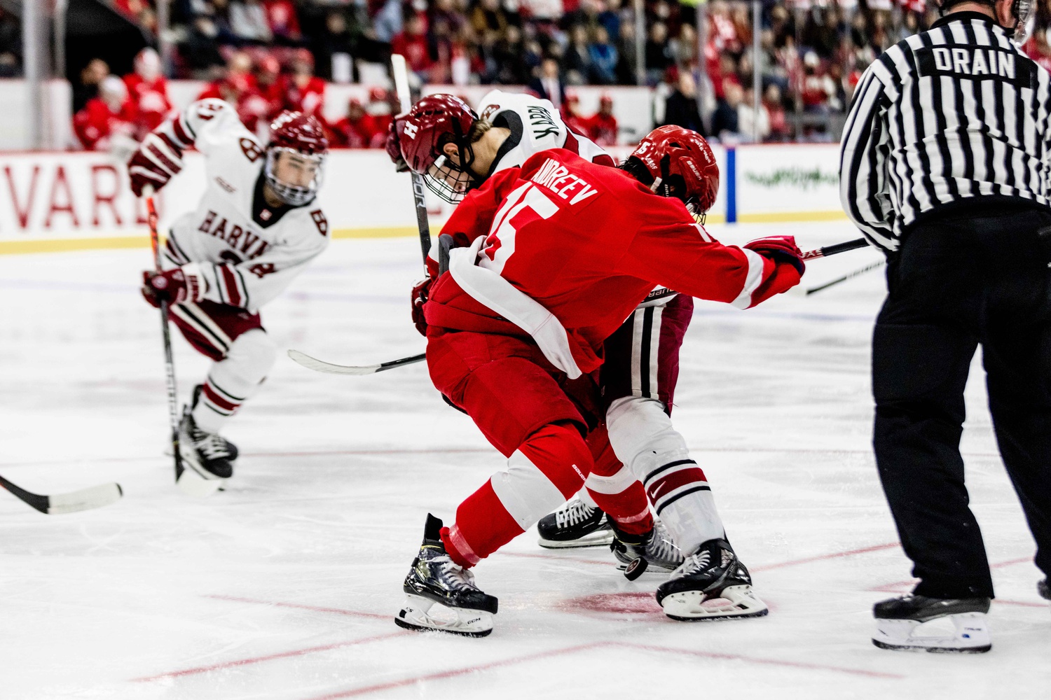Then-sophomore forward Zakary Karpa fights for possession against Cornell on January 28, 2023.