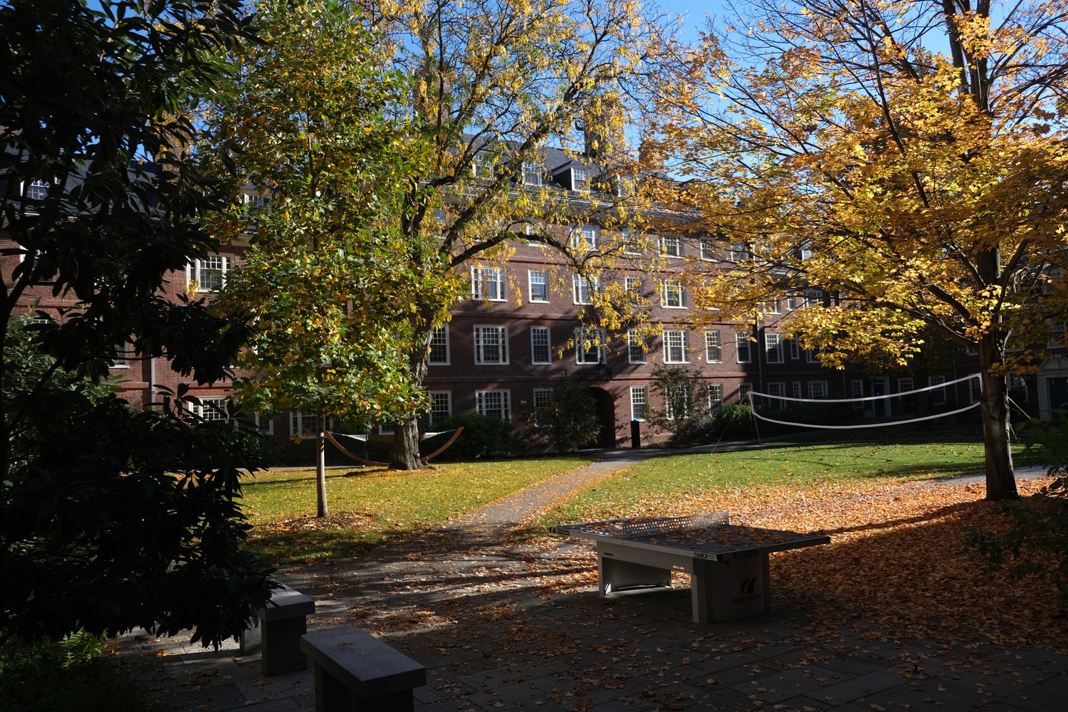 The Lowell courtyards feature benches, hammocks, and games.