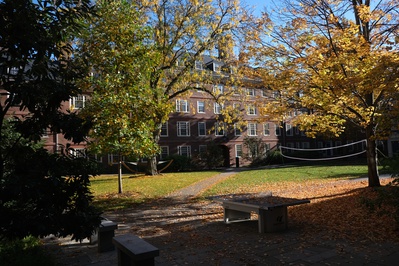 Cover image for Lowell Courtyard Fall