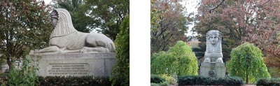 Cover image for Two Angles of Mt Auburn Sphinx