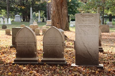 Cover image for Tombstones and Sunlight in Mt Auburn Cemetery