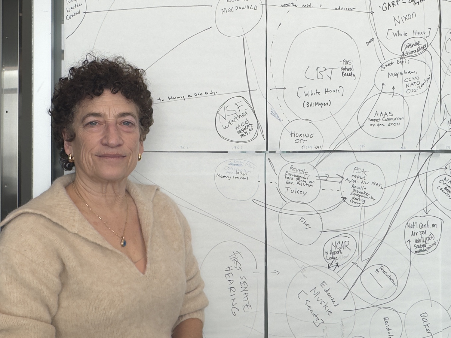 Naomi Oreskes is a professor of the History of Science and is an affiliated professor of Earth and Planetary Sciences at Harvard University.