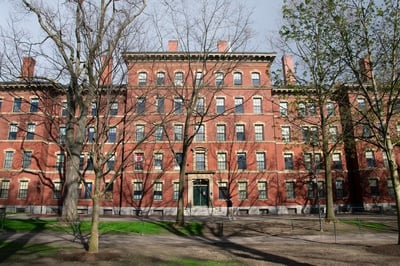 Cover image for Harvard Proctor Indefinitely Relieved of Duties Following Confrontation at Pro-Palestine Protest