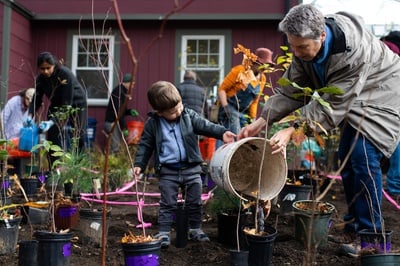 Cover image for In Photos: Planting a Yard-Sized Urban Forest