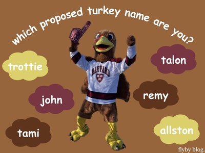 Cover image for Which Proposed Turkey Mascot Name Are You?