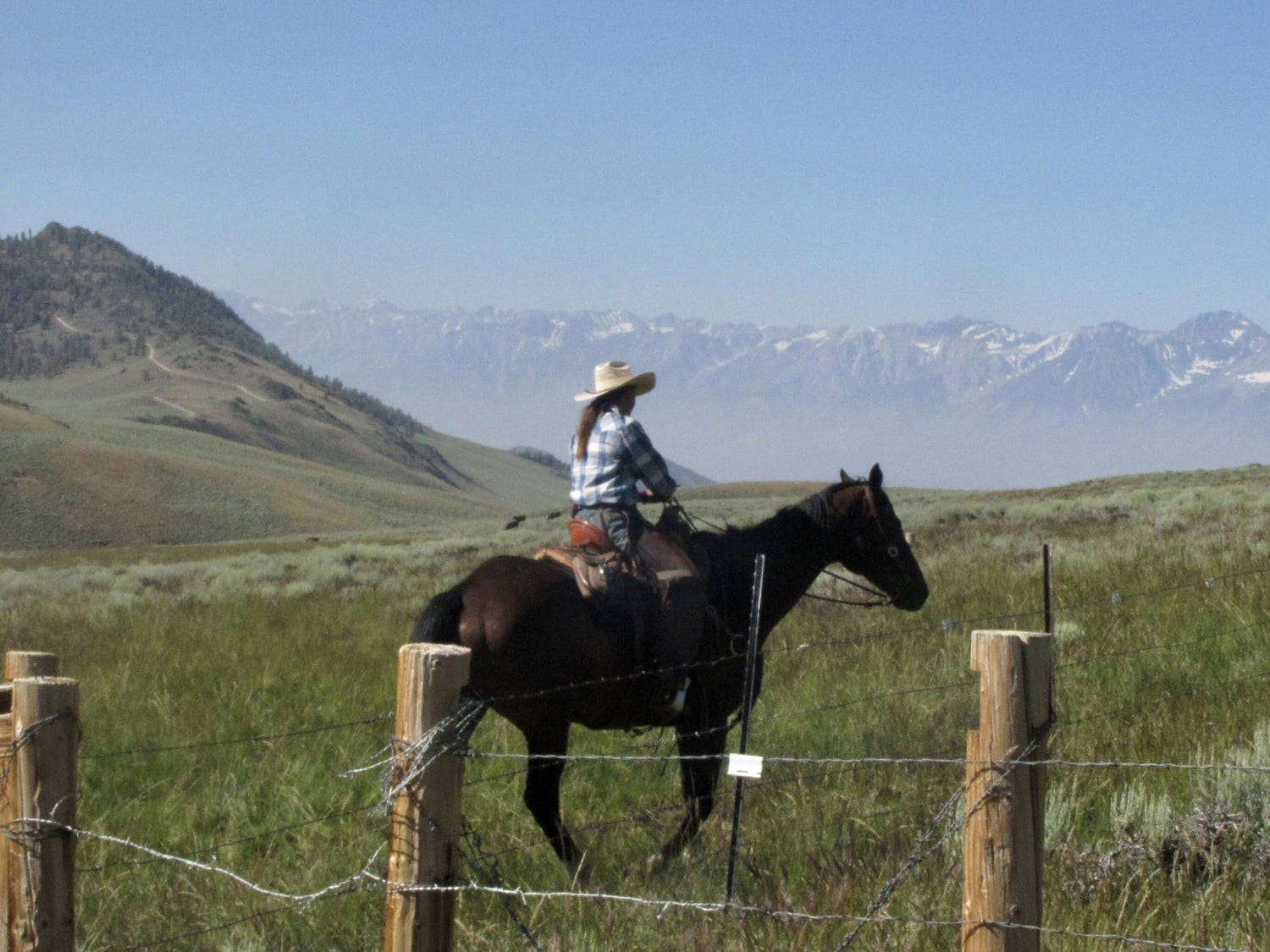 This summer, my job title was “Senior Returning Mountain Cowboy” and my life was absurd in the childhood fantasy way.