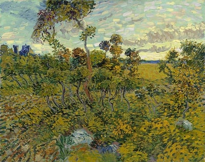Cover image for Sunset at Montmajour