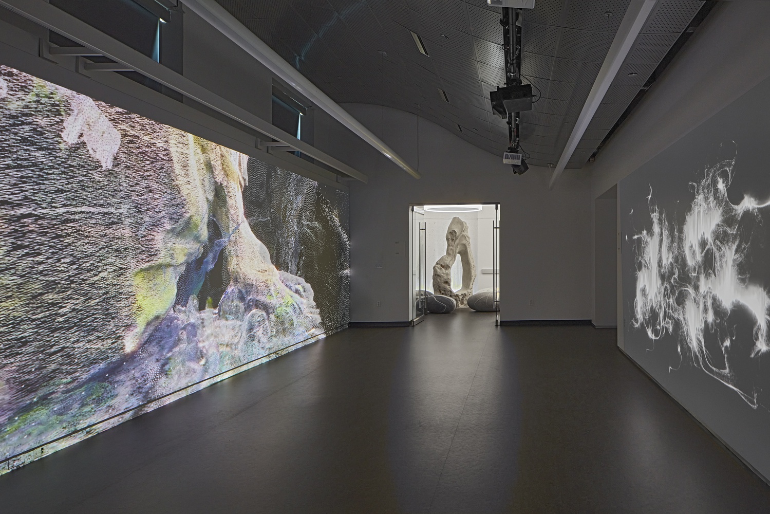 Images projected onto the walls of the Harvard FAS CAMLab exhibition.