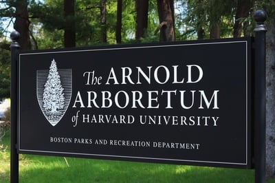 Cover image for As Harvard Arboretum Opposed Monastery Redevelopment, It Kept Close Contact With Top Boston Officials