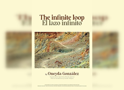 Cover image for The Infinite Loop Cover Image
