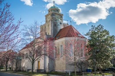 Cover image for Journalist Melanie Amann Condemns Politicization of Free Speech in Germany and at Harvard