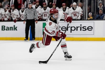 Cover image for Men's Hockey Posts Mixed Results Against Union and RPI