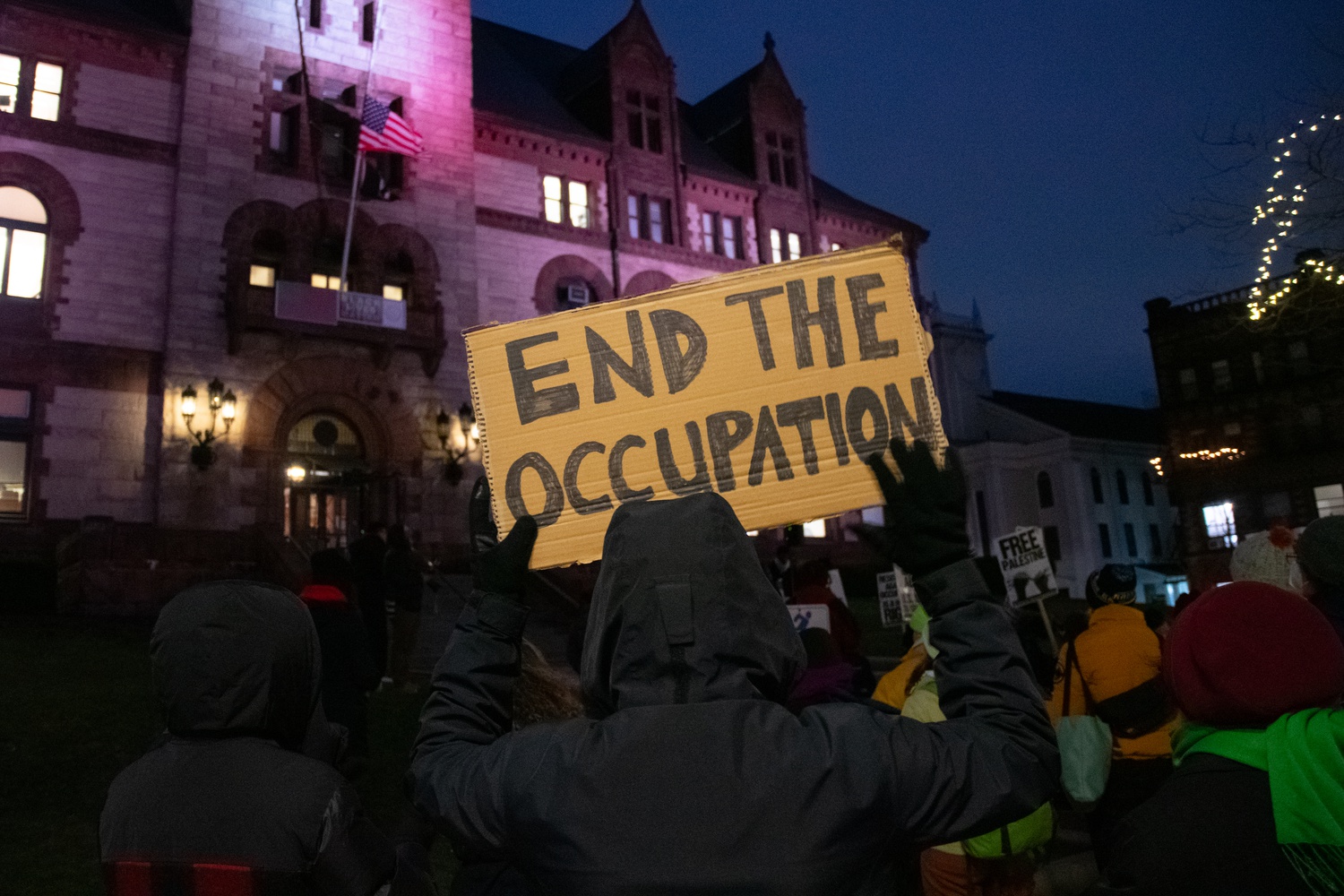 The Cambridge City Council unanimously passed an amended resolution calling for an immediate ceasefire in Gaza.