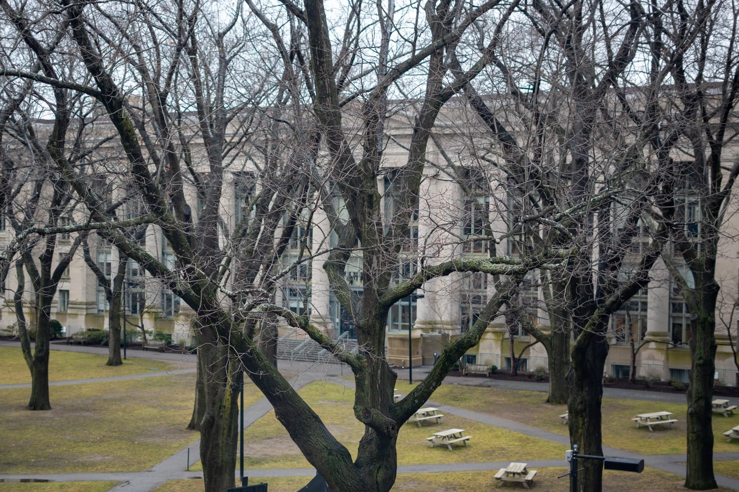 Harvard students were disappointed by the lack of snow on campus despite forecasts predicting a snowstorm.