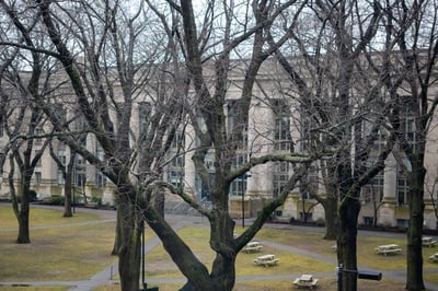 Cover image for ‘Snow’ Big Deal: Students Disappointed by Underwhelming Snowstorm