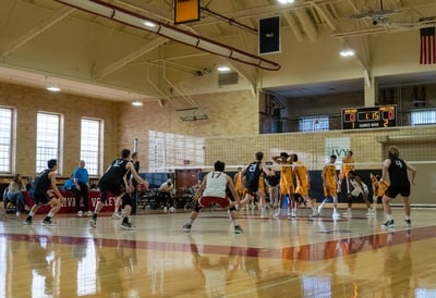 Cover image for Harvard Men’s Volleyball Struggles Out of the Gate This Season