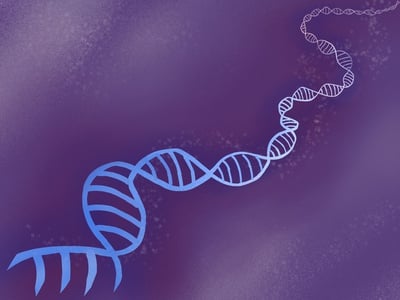 Cover image for In Ancient DNA, New Directions for African American History