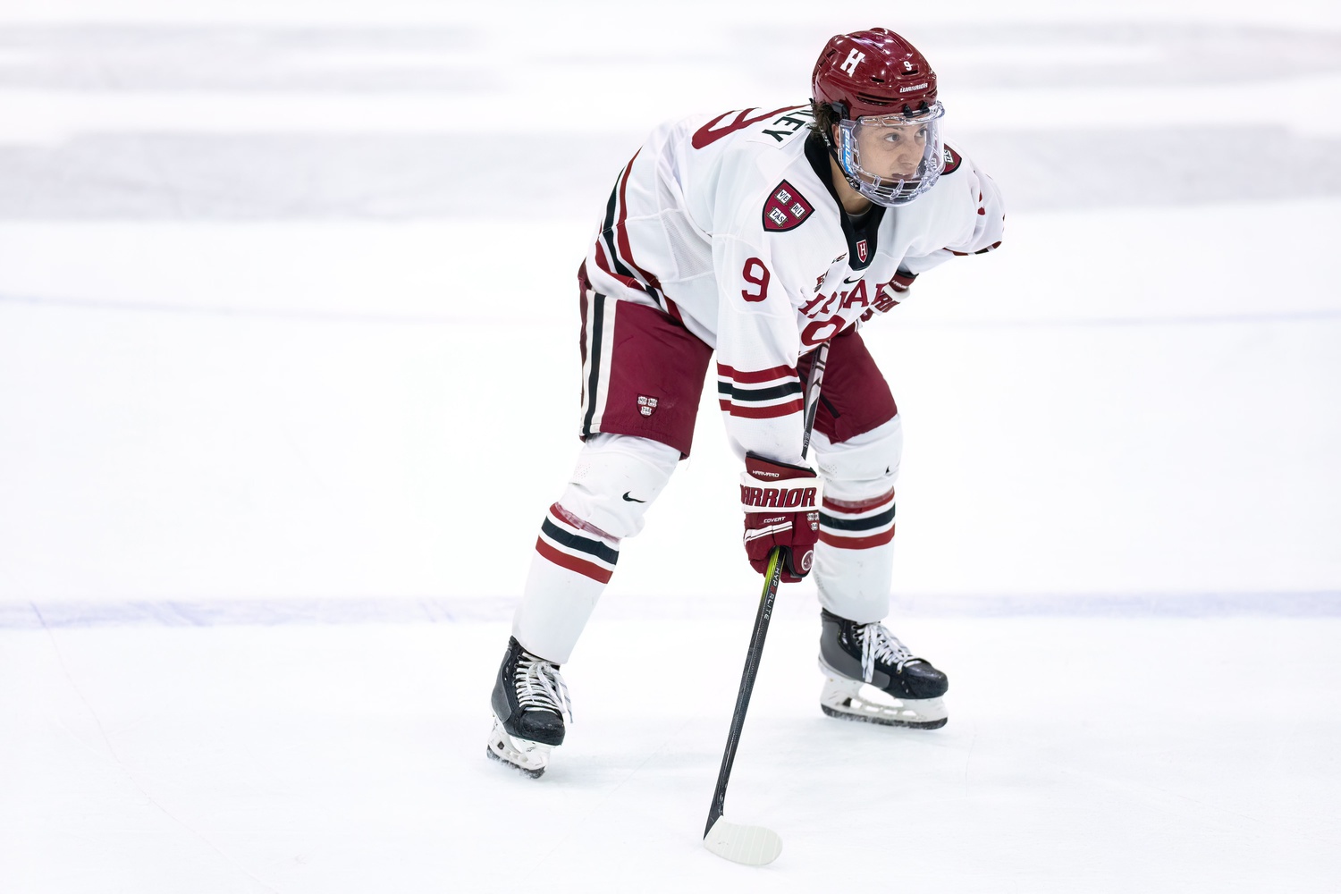 The squad will host Yale and Brown for its last weekend of regular season play.