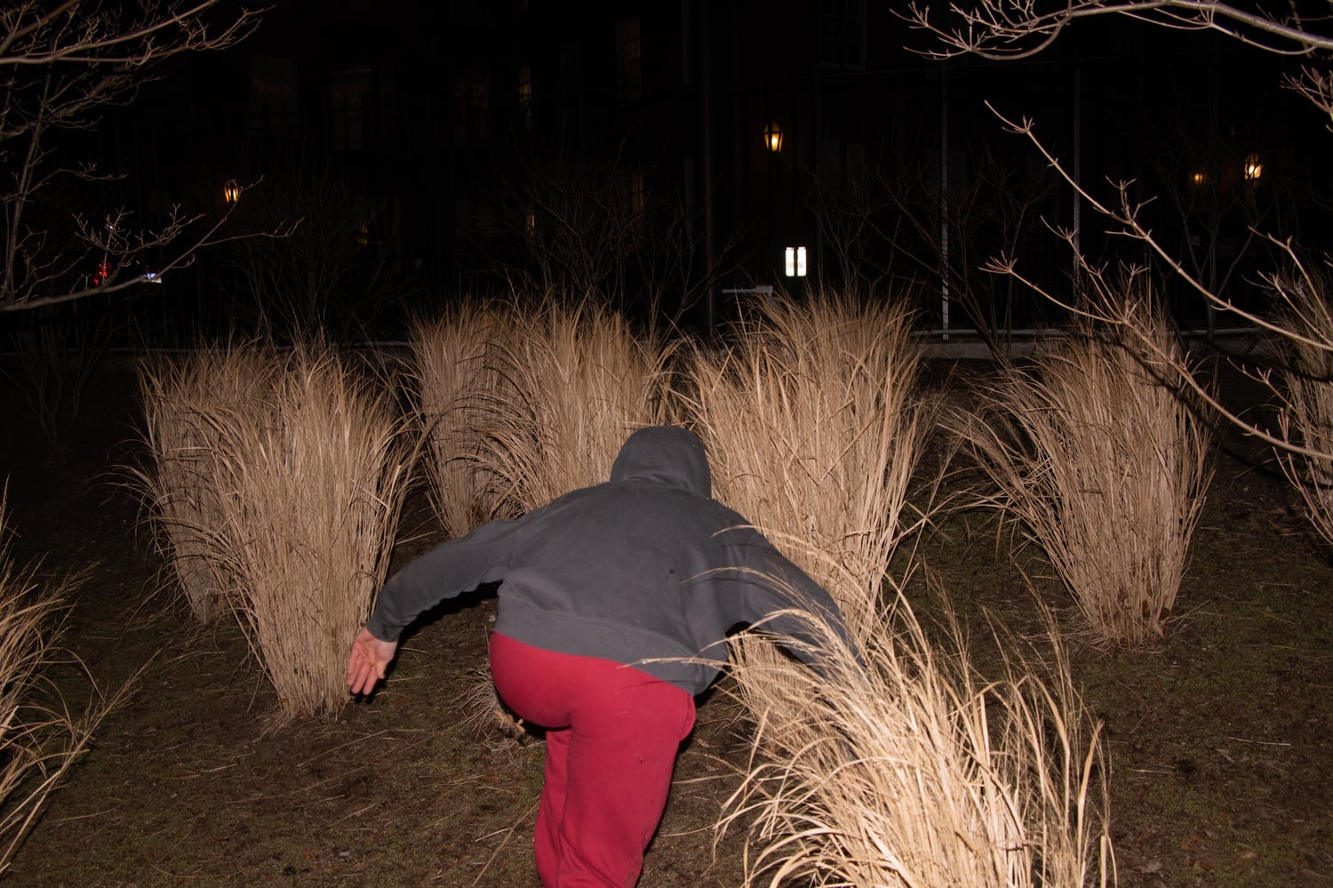 River bushes are pretty disappointing.